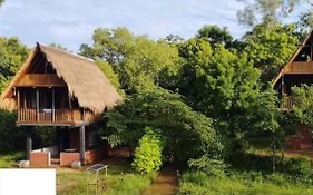 Wisdom Resort